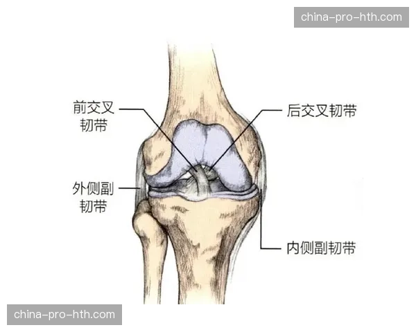 十字韧带之殇：探究女足运动员ACL受伤率远高于男足的深层原因